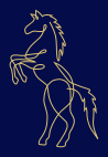 Logo Le Chevalier